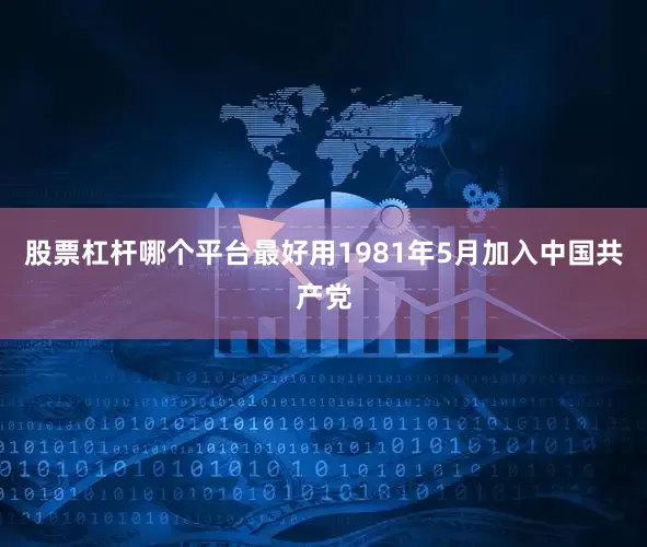 股票杠杆哪个平台最好用1981年5月加入中国共产党