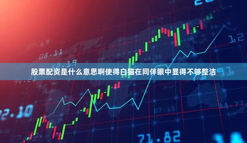 股票配资是什么意思啊使得白猫在同伴眼中显得不够整洁